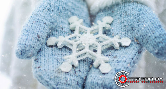 СНЕЖНЫЙ ЧЕЛЛЕНДЖ БЕЛОРУССКИХ САМБИСТОВ